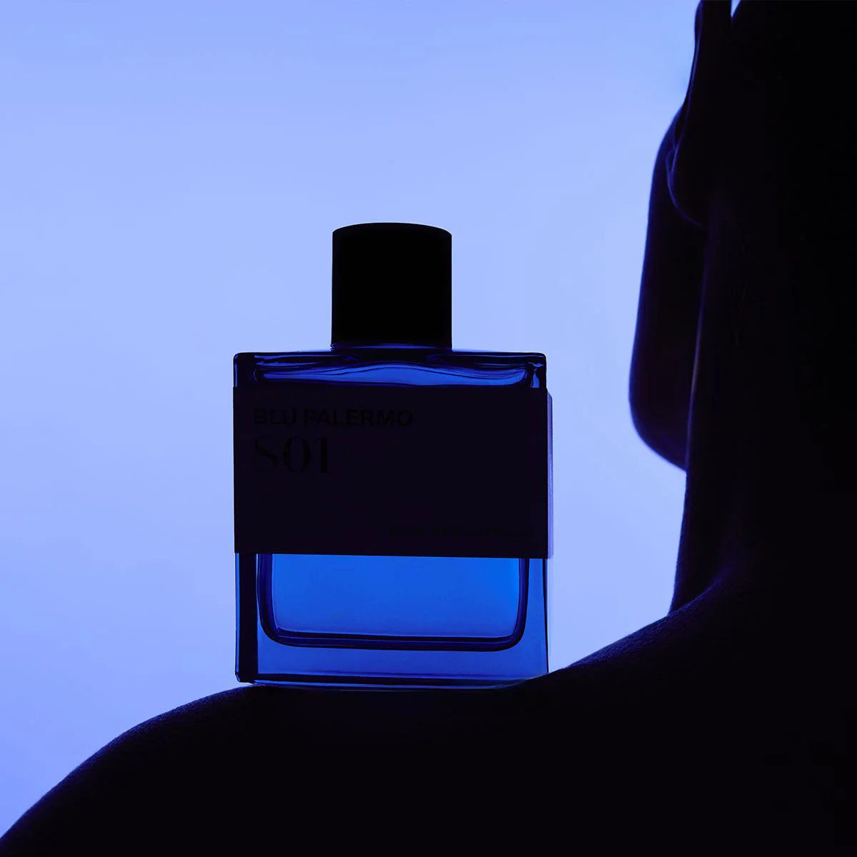 801 Blu Palermo - Image 7