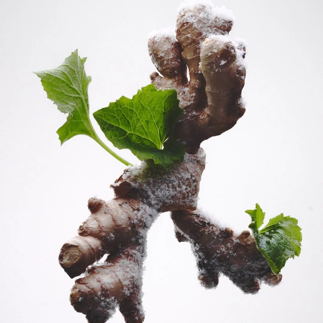 803 Givre Patchouli - Image 6